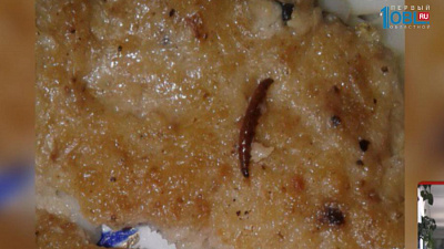 Школьники опубликовали фото червя на котлете из столовой
