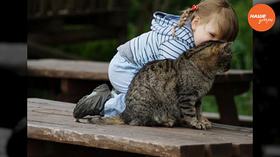 Пушистое утро. Дети и кошки