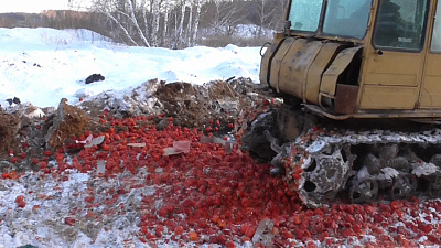 Полтонны сладкого перца сравняли с землёй трактором