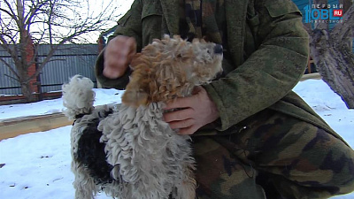 Моя деревня. Бродокалмак