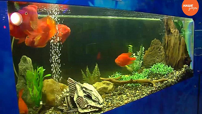 Лучшие выходные