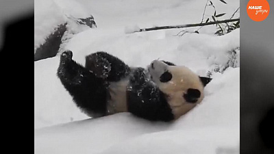 Обзор интернета за 23  декабря