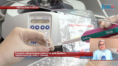 В новой лаборатории смогут по ДНК выявить африканскую чуму у свиней