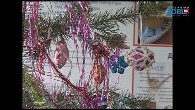 Время новостей. Миасс от 27.12.2016