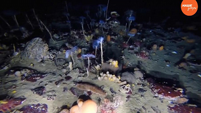 Обзор интернета. 27 декабря