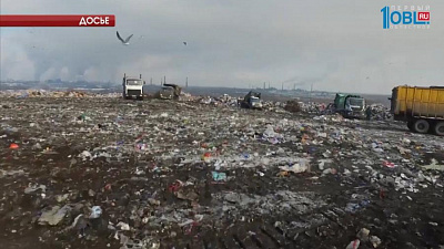 Общественники поддержали экологические инициативы Бориса Дубровского 