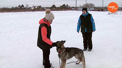 Пушистое утро. 09.01.2017