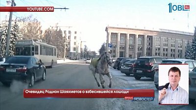 Очевидец Родион Шаяхметов о взбесившейся лошади 