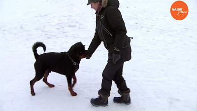 Пушистое утро 11.01.2017