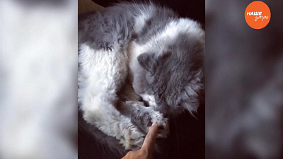 Обзор интернета за 11 января