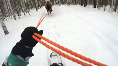 Сноуборд на коне протестировали недалеко от Кыштыма