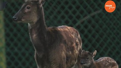 Обзор интернета 16.01.2017