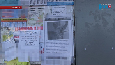 Происшествия дня 17.01.2017