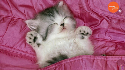 Обзор интернета за 18 января 