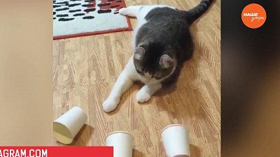 Обзор интернета за 19 января