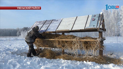 Егеря и охотоведы начали зимнюю подкормку животных