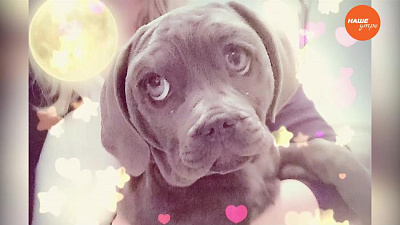 Обзор интернета за 23 января 