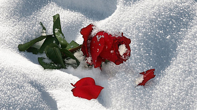 Послание на снегу сняли с квадрокоптера в Челябинске