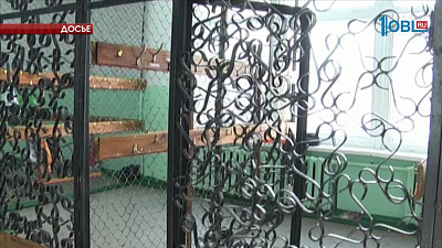 Заболеваемость простудой и гриппом упала за неделю на 20 процентов в Челябинске 