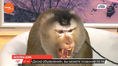 Знакомьтесь - Мистер Рик