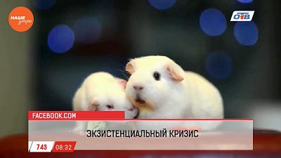 Обзор интернета за 27 января 