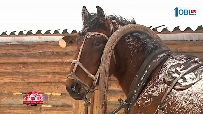 Государство стало больше помогать в том числе и начинающим аграриям