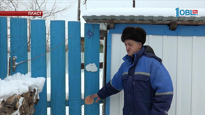 Мужчина узнает погоду по еловой ветке