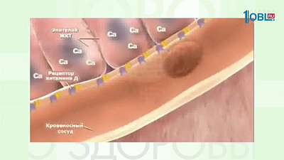 О витамине D