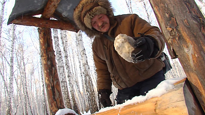 Нужна соль! Животные в южноуральских лесах страдают авитаминозом