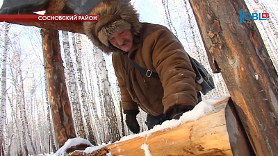 Косулям и лосям Южного Урала не хватает соли