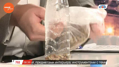 Интерактив – кормушка для кота