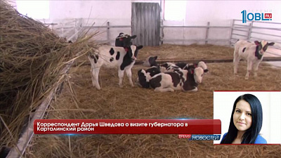 Корреспондент Дарья Шведова о визите губернатора в Карталинский район