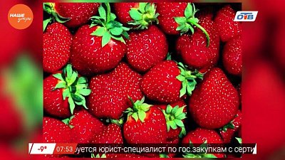 Наше УТРО на ОТВ – знахарь