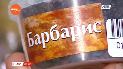 Знахарь - о целебных свойствах барбариса