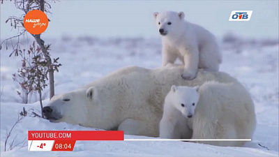 День в истории - 27 февраля 2017 г