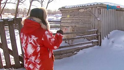 Страусиное ранчо