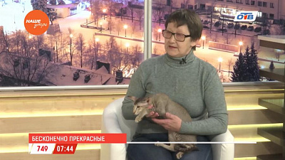 Наше УТРО на ОТВ – гость в студии Татьяна Минаева