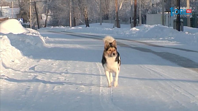 Как изменится жизнь россиян с марта 2017 года