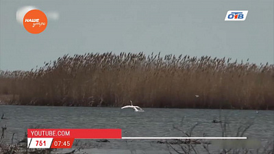 Наше УТРО на ОТВ – день в истории 3 марта