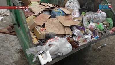 Жительница Златоуста нашла в мусорном контейнере тушку свиньи