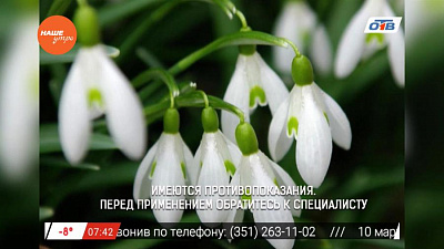 Наше УТРО на ОТВ – знахарь о весенней заготовке трав