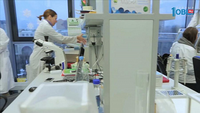 Борис Дубровский ответил на вопросы молодых ученых региона