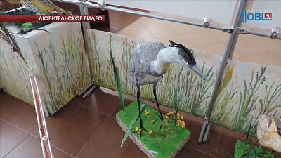 В Бакал "прилетели" экзотические птицы из пенопласта