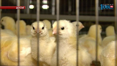 В Челябинской области вырос индекс промпроизводства