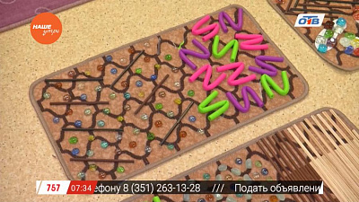 Наше УТРО на ОТВ – мама, действуй о профилактике плоскостопия