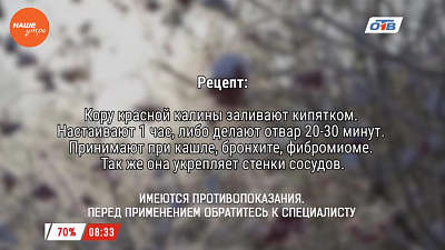 Наше УТРО на ОТВ – травница о лечебных свойствах коры красной калины