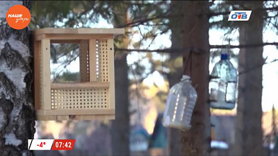 Наше УТРО на ОТВ – включение из Златоуста про белок