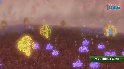 Жизнь с диабетом. Регулярные анализы