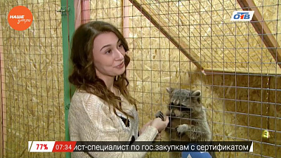 Наше УТРО на ОТВ – пушистое утро об игрушках енота