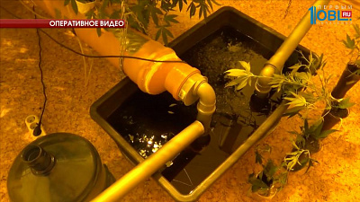 Борис Дубровский провел заседание антинаркотической комиссии Челябинской области